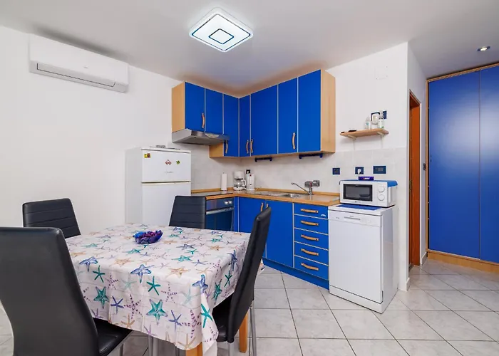 Pako נובי ווינודולסקי